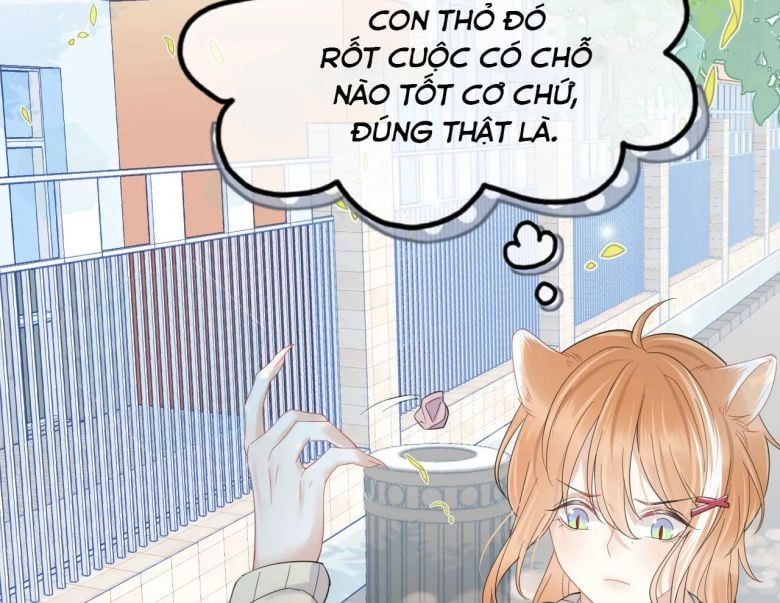 đọc truyện Một Ngụm Nuốt Trọn Thỏ Con Chương 31 ảnh 12 tại Thiên Thai Truyện