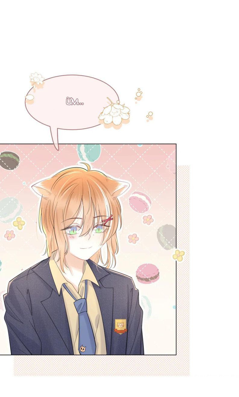 đọc truyện Một Ngụm Nuốt Trọn Thỏ Con Chương 33 ảnh 23 tại Thiên Thai Truyện