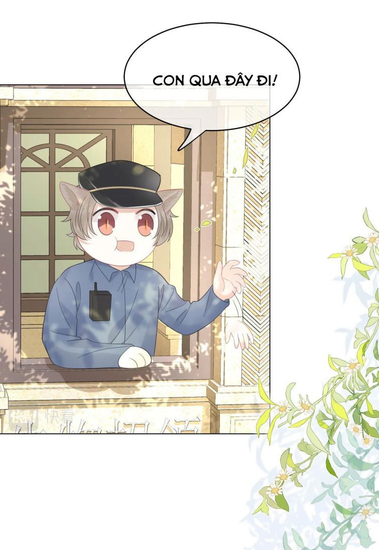 đọc truyện Một Ngụm Nuốt Trọn Thỏ Con Chương 34 ảnh 32 tại Thiên Thai Truyện