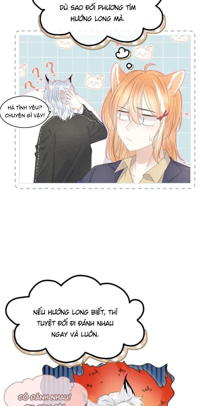 đọc truyện Một Ngụm Nuốt Trọn Thỏ Con Chương 35 ảnh 9 tại Thiên Thai Truyện