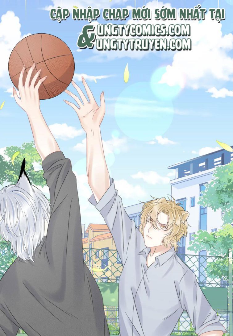 đọc truyện Một Ngụm Nuốt Trọn Thỏ Con Chương 38 ảnh 27 tại Thiên Thai Truyện