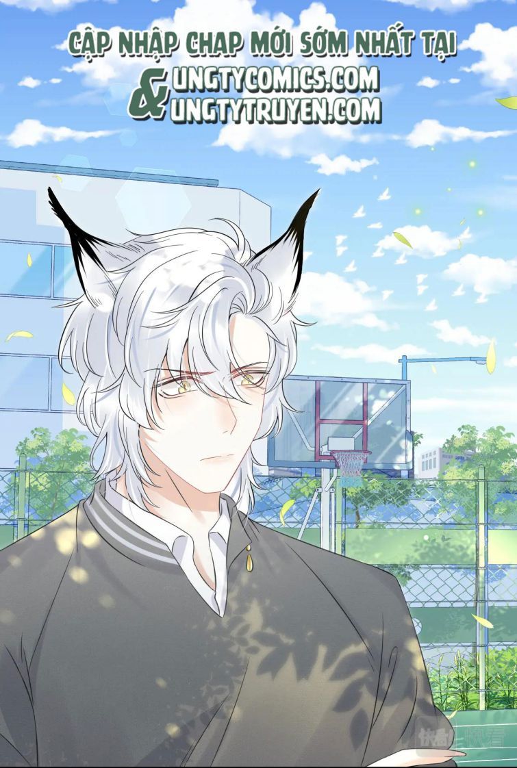 đọc truyện Một Ngụm Nuốt Trọn Thỏ Con Chương 38 ảnh 6 tại Thiên Thai Truyện