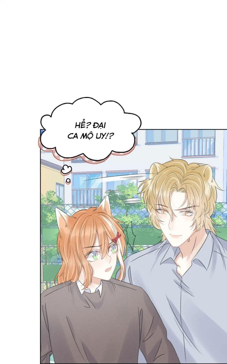 đọc truyện Một Ngụm Nuốt Trọn Thỏ Con Chương 38 ảnh 46 tại Thiên Thai Truyện