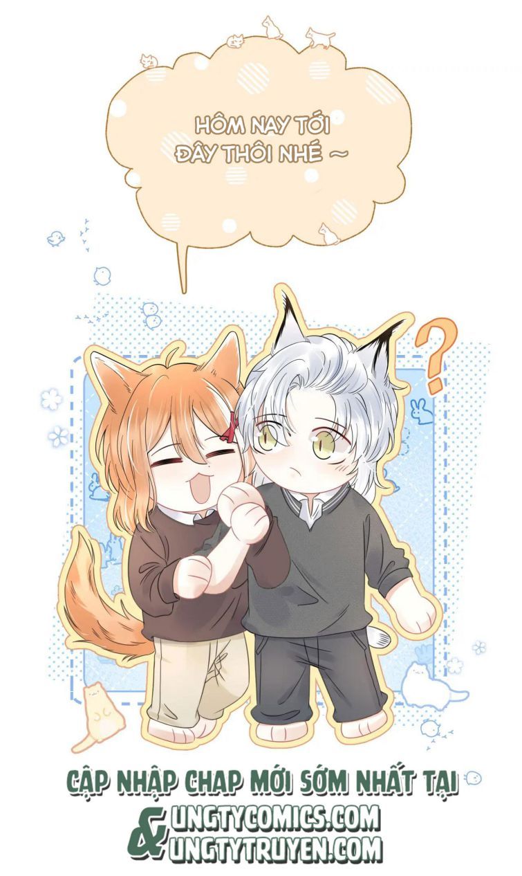 đọc truyện Một Ngụm Nuốt Trọn Thỏ Con Chương 38 ảnh 63 tại Thiên Thai Truyện