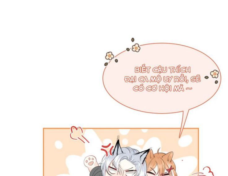 đọc truyện Một Ngụm Nuốt Trọn Thỏ Con Chương 39 ảnh 6 tại Thiên Thai Truyện