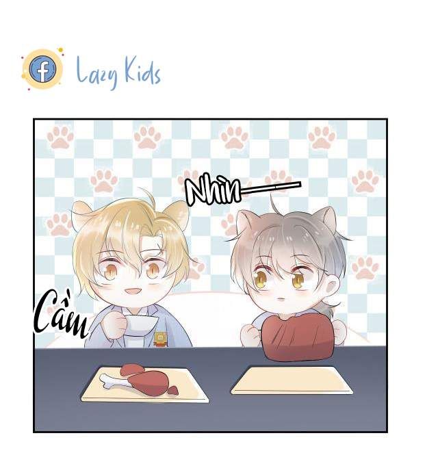 đọc truyện Một Ngụm Nuốt Trọn Thỏ Con Chương 4 ảnh 12 tại Thiên Thai Truyện