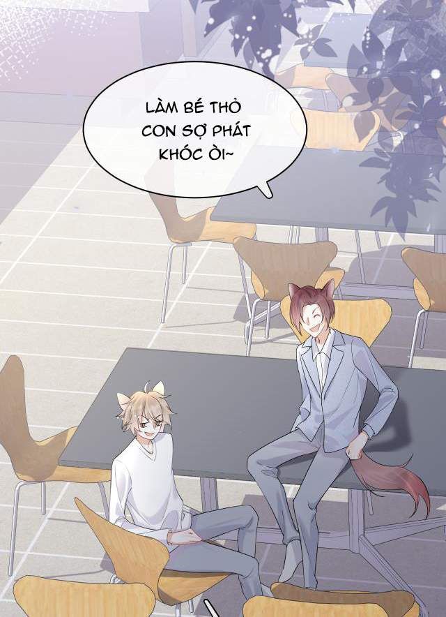 đọc truyện Một Ngụm Nuốt Trọn Thỏ Con Chương 4 ảnh 27 tại Thiên Thai Truyện