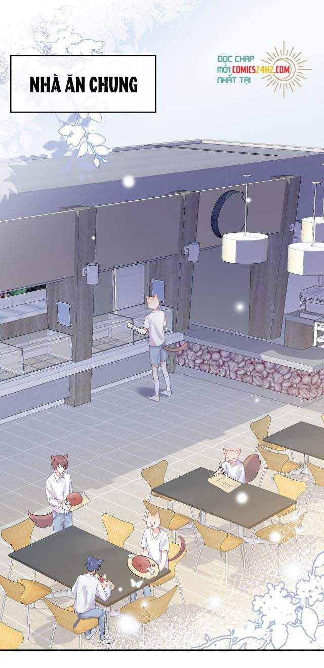 đọc truyện Một Ngụm Nuốt Trọn Thỏ Con Chương 4 ảnh 5 tại Thiên Thai Truyện