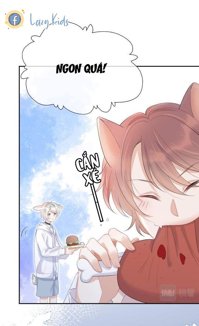 đọc truyện Một Ngụm Nuốt Trọn Thỏ Con Chương 4 ảnh 6 tại Thiên Thai Truyện