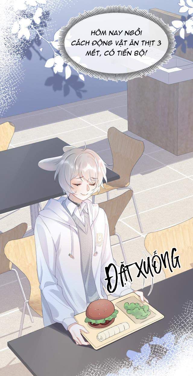 đọc truyện Một Ngụm Nuốt Trọn Thỏ Con Chương 4 ảnh 7 tại Thiên Thai Truyện