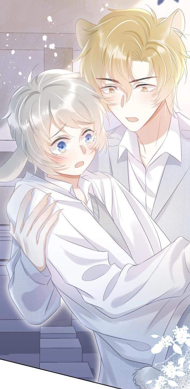 đọc truyện Một Ngụm Nuốt Trọn Thỏ Con Chương 4 ảnh 53 tại Thiên Thai Truyện