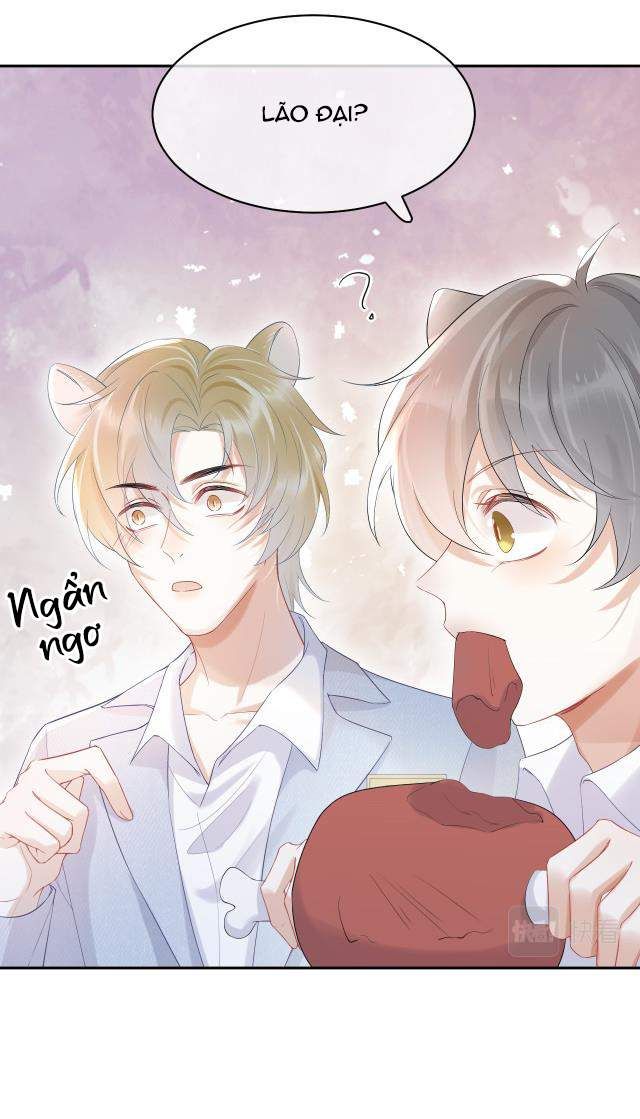 đọc truyện Một Ngụm Nuốt Trọn Thỏ Con Chương 4 ảnh 11 tại Thiên Thai Truyện