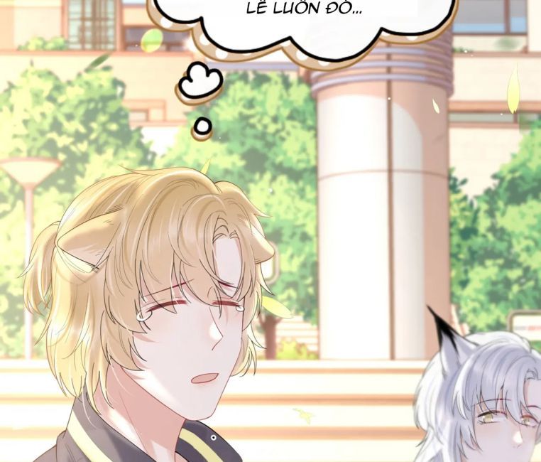 đọc truyện Một Ngụm Nuốt Trọn Thỏ Con Chương 45 ảnh 20 tại Thiên Thai Truyện