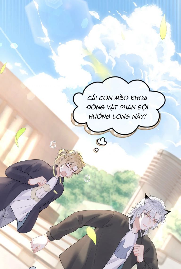 đọc truyện Một Ngụm Nuốt Trọn Thỏ Con Chương 45 ảnh 43 tại Thiên Thai Truyện