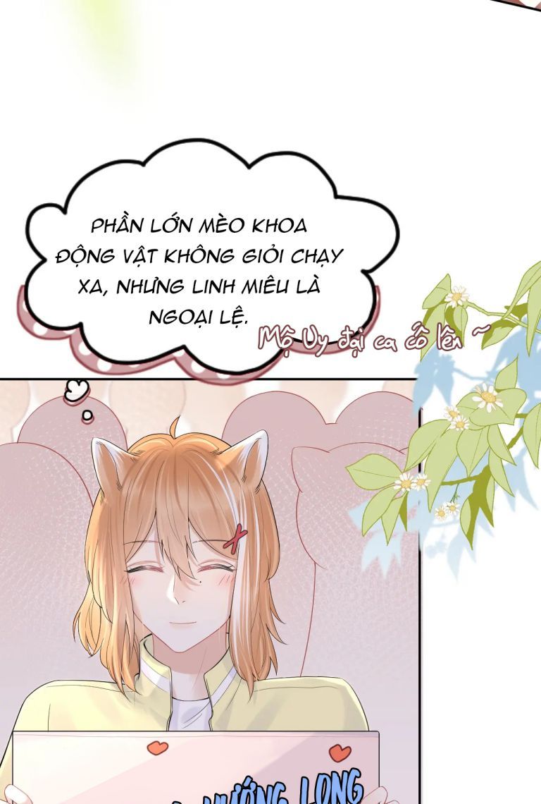 đọc truyện Một Ngụm Nuốt Trọn Thỏ Con Chương 45 ảnh 45 tại Thiên Thai Truyện