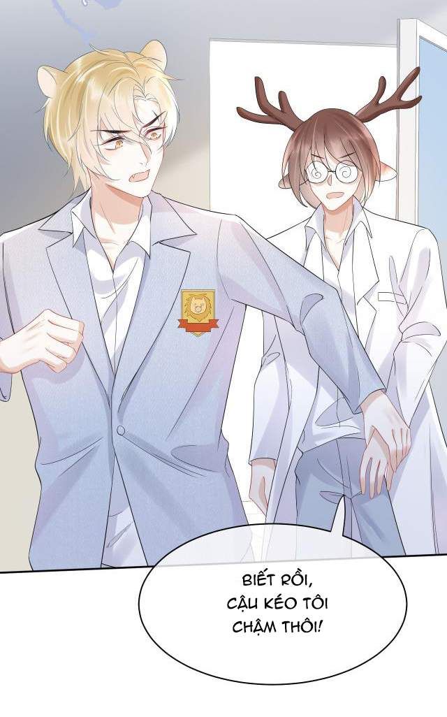 đọc truyện Một Ngụm Nuốt Trọn Thỏ Con Chương 5 ảnh 26 tại Thiên Thai Truyện