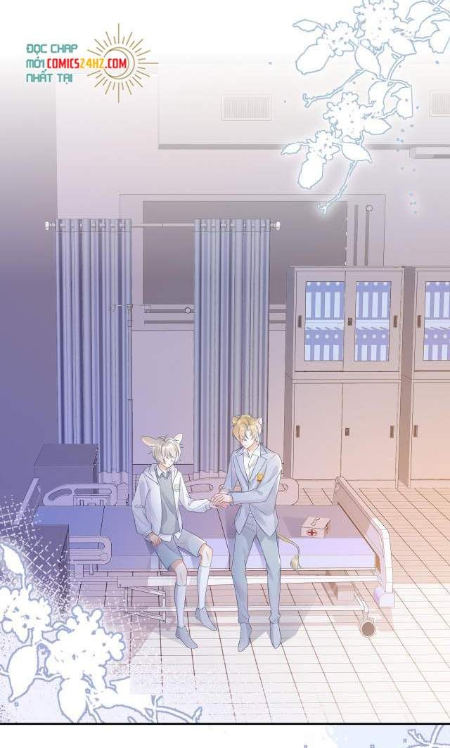 đọc truyện Một Ngụm Nuốt Trọn Thỏ Con Chương 5 ảnh 5 tại Thiên Thai Truyện