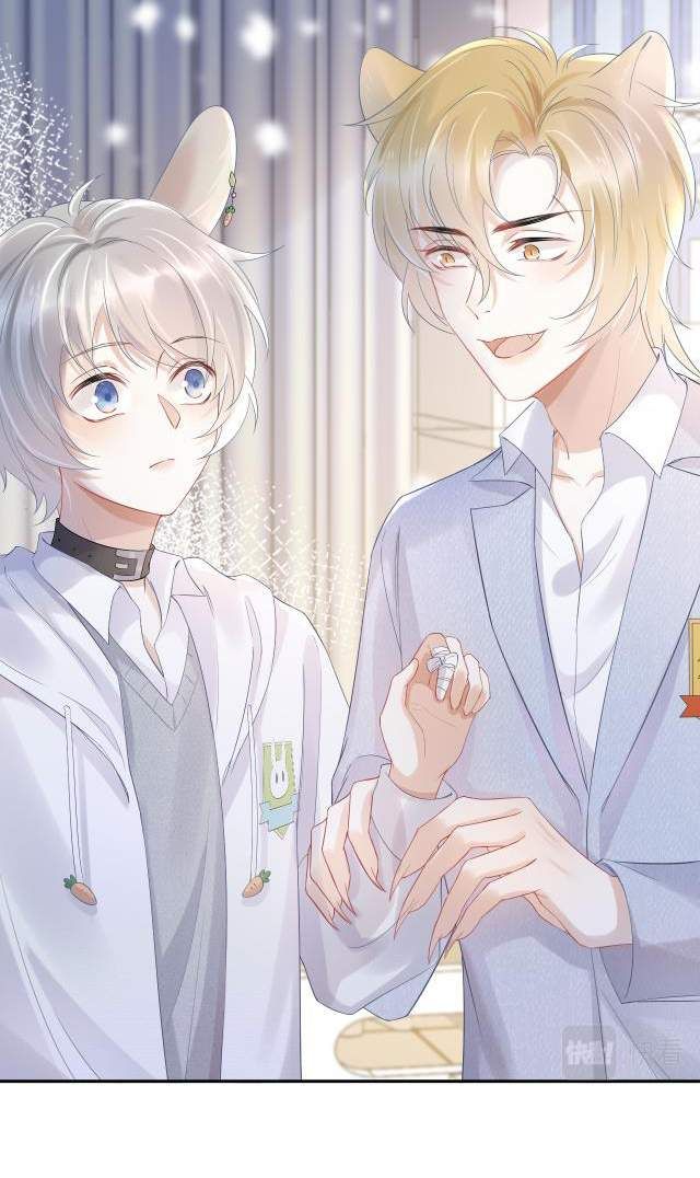 đọc truyện Một Ngụm Nuốt Trọn Thỏ Con Chương 5 ảnh 10 tại Thiên Thai Truyện