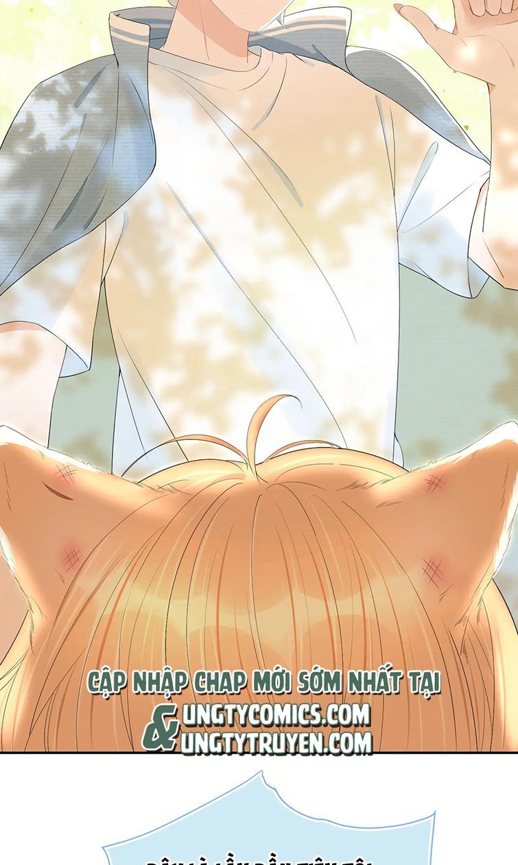 đọc truyện Một Ngụm Nuốt Trọn Thỏ Con Chương 56 ảnh 20 tại Thiên Thai Truyện