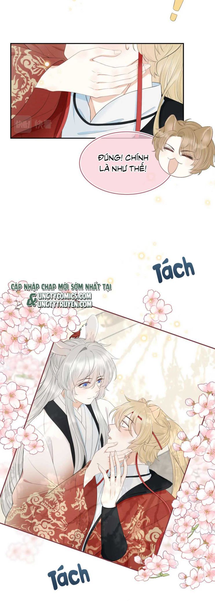 đọc truyện Một Ngụm Nuốt Trọn Thỏ Con Chương 58 ảnh 12 tại Thiên Thai Truyện