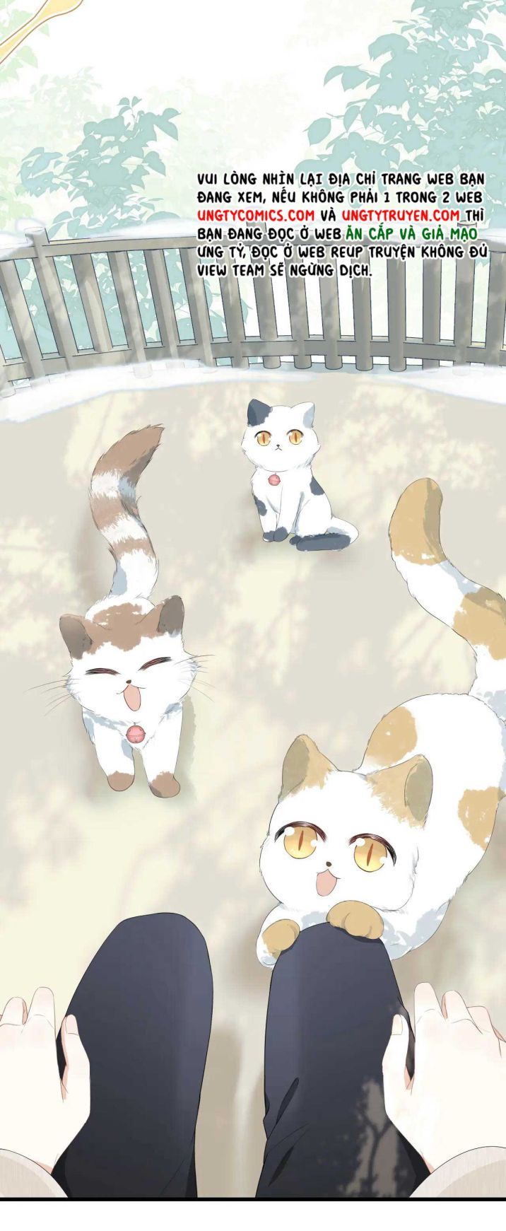 đọc truyện Một Ngụm Nuốt Trọn Thỏ Con Chương 59 ảnh 13 tại Thiên Thai Truyện