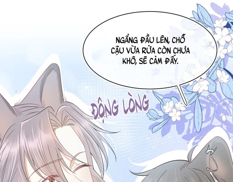 đọc truyện Một Ngụm Nuốt Trọn Thỏ Con Chương 63 ảnh 37 tại Thiên Thai Truyện