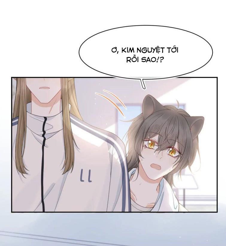 đọc truyện Một Ngụm Nuốt Trọn Thỏ Con Chương 67 ảnh 18 tại Thiên Thai Truyện