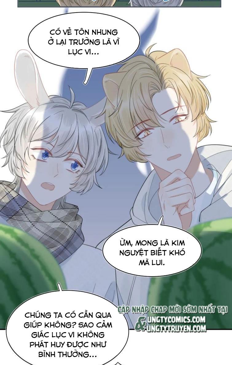 đọc truyện Một Ngụm Nuốt Trọn Thỏ Con Chương 67 ảnh 30 tại Thiên Thai Truyện