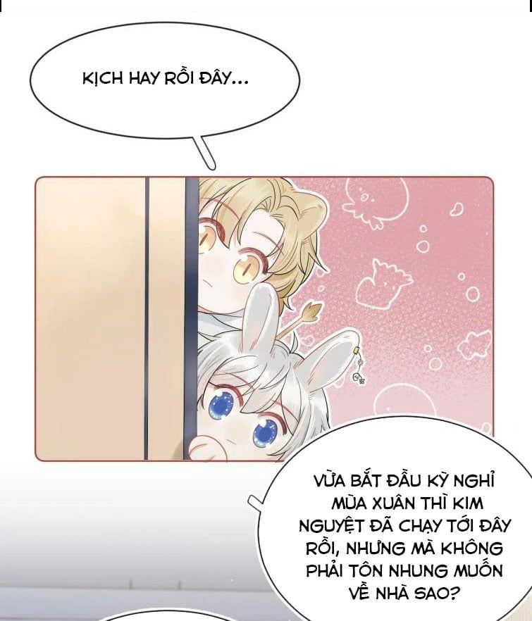 đọc truyện Một Ngụm Nuốt Trọn Thỏ Con Chương 67 ảnh 6 tại Thiên Thai Truyện