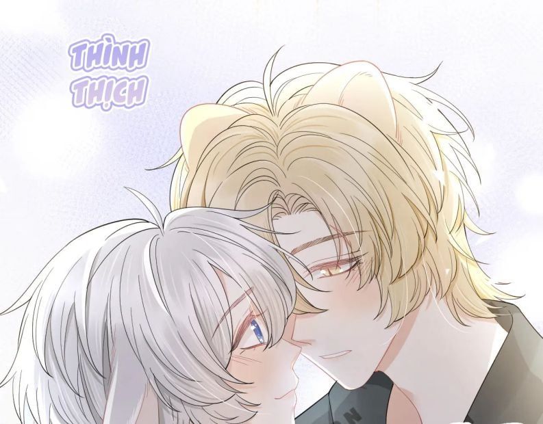 đọc truyện Một Ngụm Nuốt Trọn Thỏ Con Chương 80 ảnh 26 tại Thiên Thai Truyện