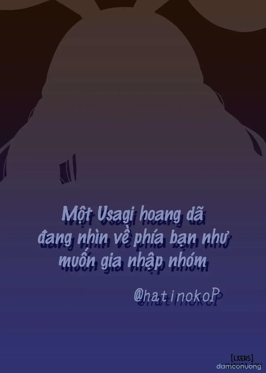 đọc truyện Một Usagi Hoang Dã Đang Nhìn Về Phía Bạn Như Muốn Gia Nhập Nhóm Possession Ending ảnh 21 tại Thiên Thai Truyện