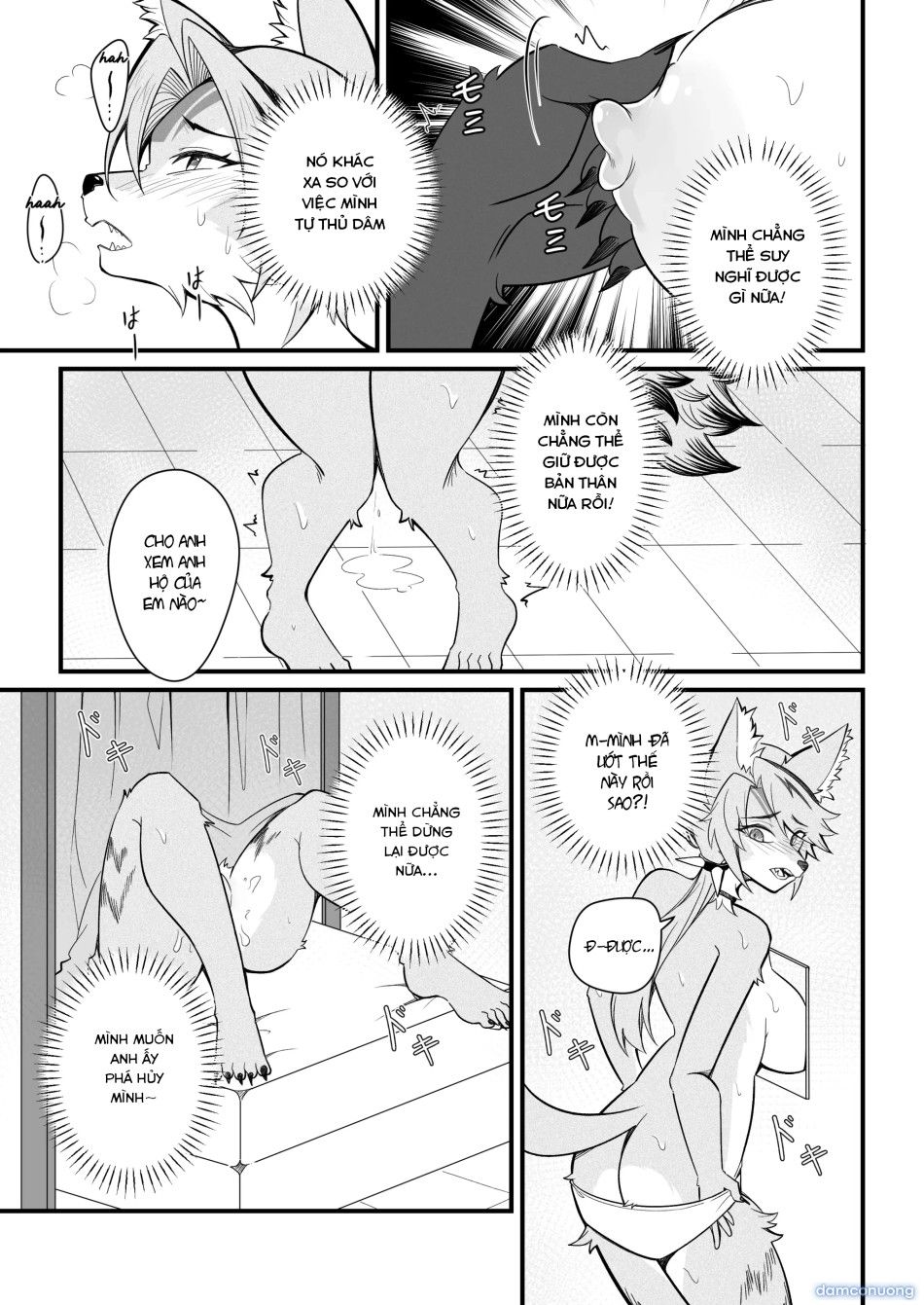 đọc truyện Mùa Động Dục Của Pulchra Chương 0 ảnh 16 tại Thiên Thai Truyện