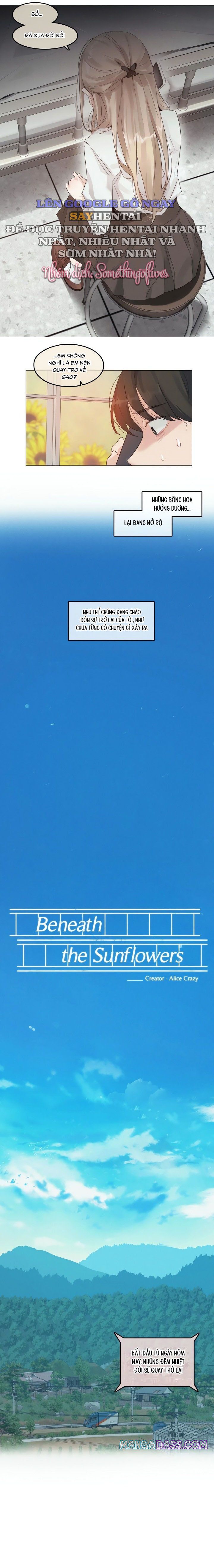 đọc truyện Mùa Hướng Dương Thầm Thì Chương 1 ảnh 5 tại Thiên Thai Truyện