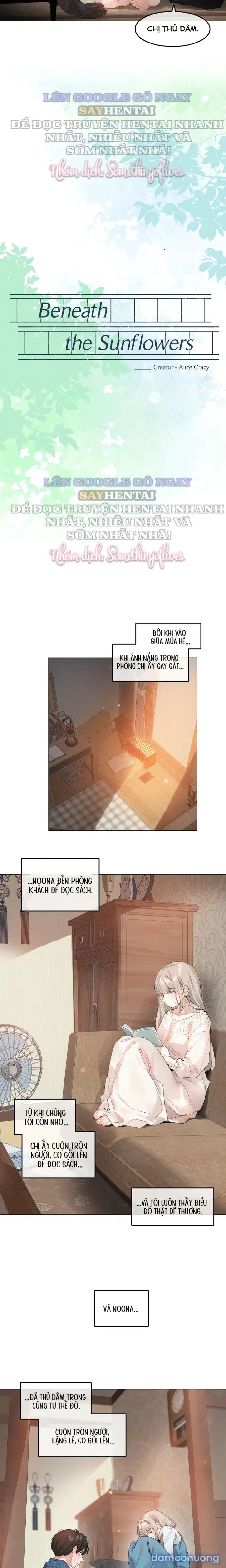 đọc truyện Mùa Hướng Dương Thầm Thì Chương 7 ảnh 7 tại Thiên Thai Truyện