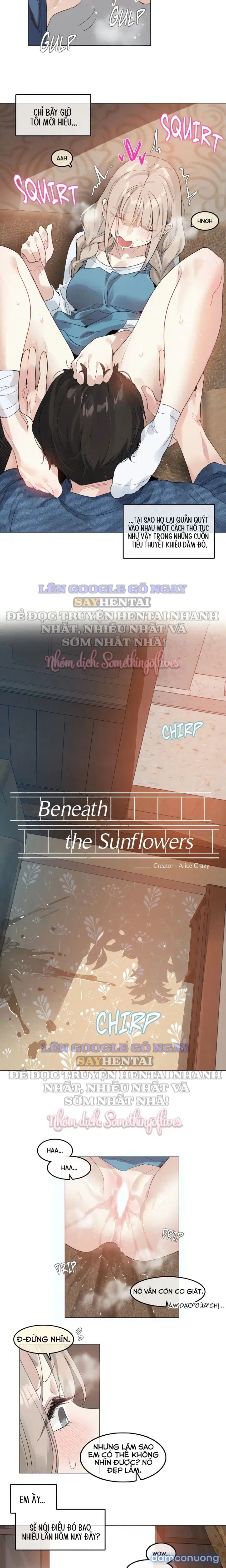 đọc truyện Mùa Hướng Dương Thầm Thì Chương 8 ảnh 5 tại Thiên Thai Truyện