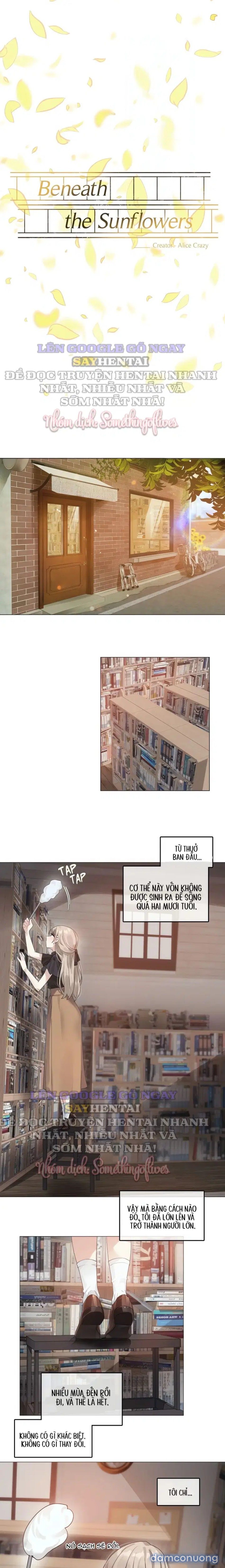 đọc truyện Mùa Hướng Dương Thầm Thì Chương 9 ảnh 6 tại Thiên Thai Truyện