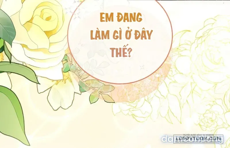 đọc truyện Mùa Xuân Của Shin Yu Chương 1 ảnh 103 tại Thiên Thai Truyện