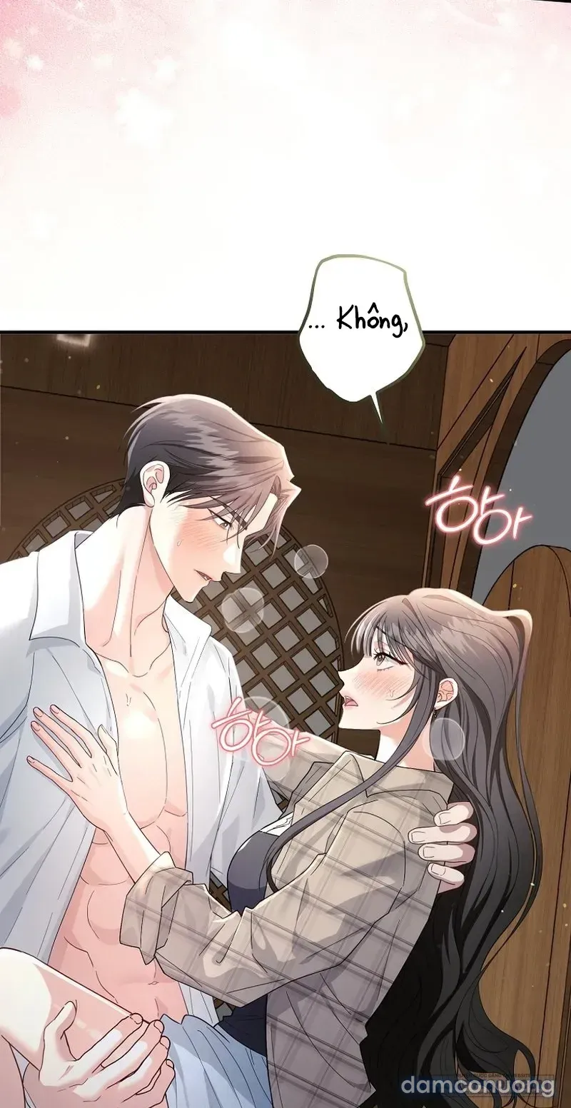 đọc truyện Mùa Xuân Của Shin Yu Chương 1 ảnh 13 tại Thiên Thai Truyện