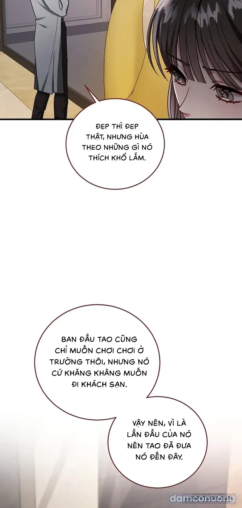 đọc truyện Mùa Xuân Của Shin Yu Chương 1 ảnh 73 tại Thiên Thai Truyện