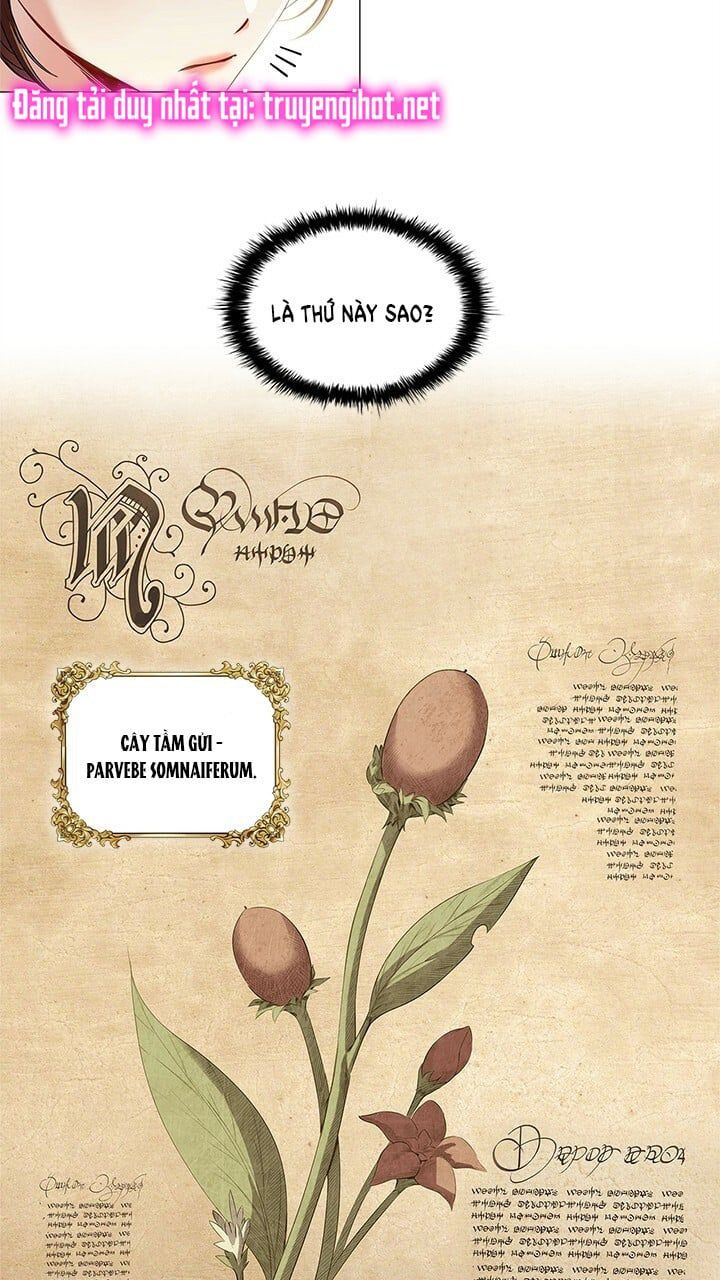 đọc truyện Mùi Hương Của Ác Quỷ Chương 25.1 ảnh 5 tại Thiên Thai Truyện