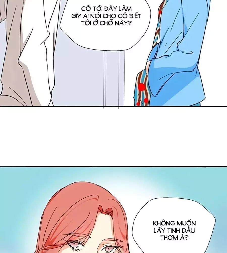 đọc truyện Mùi Hương Lãng Mạn Chương 20 ảnh 64 tại Thiên Thai Truyện