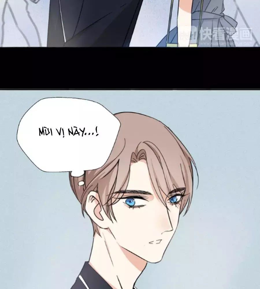 đọc truyện Mùi Hương Lãng Mạn Chương 21 ảnh 57 tại Thiên Thai Truyện