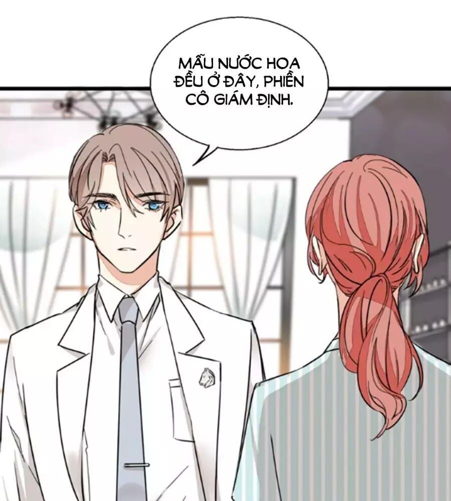 đọc truyện Mùi Hương Lãng Mạn Chương 25 ảnh 6 tại Thiên Thai Truyện