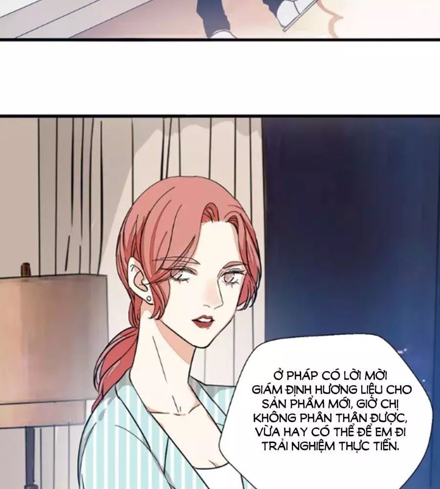 đọc truyện Mùi Hương Lãng Mạn Chương 26 ảnh 54 tại Thiên Thai Truyện