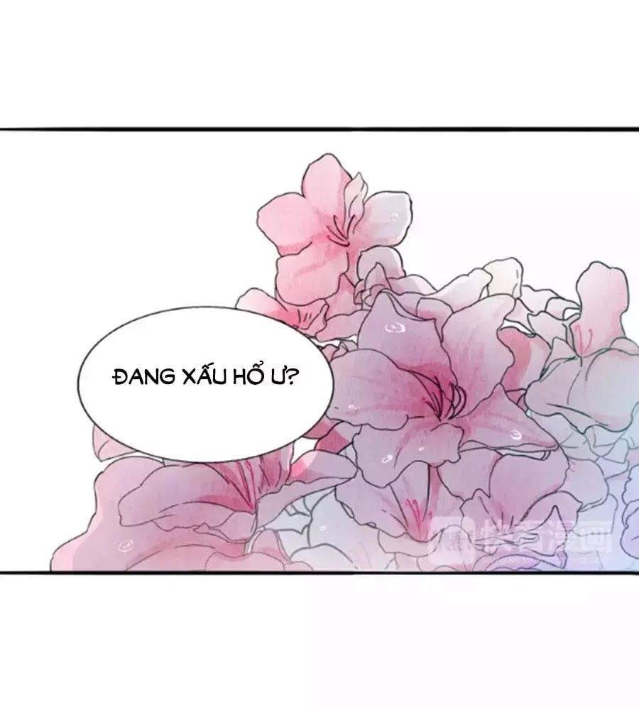 đọc truyện Mùi Hương Lãng Mạn Chương 30 ảnh 18 tại Thiên Thai Truyện