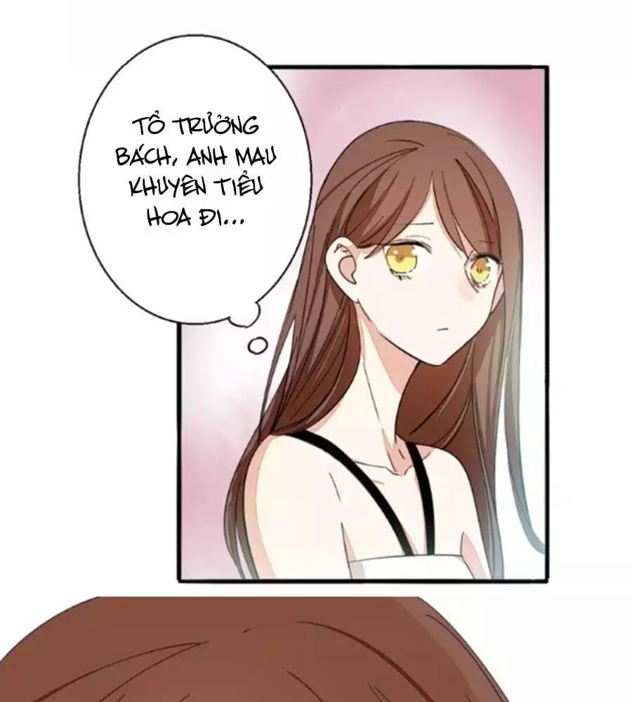 đọc truyện Mùi Hương Lãng Mạn Chương 30 ảnh 10 tại Thiên Thai Truyện