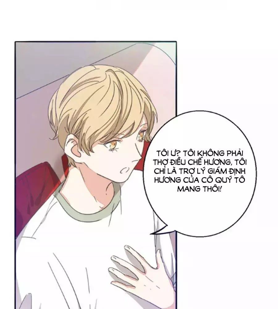 đọc truyện Mùi Hương Lãng Mạn Chương 31 ảnh 20 tại Thiên Thai Truyện