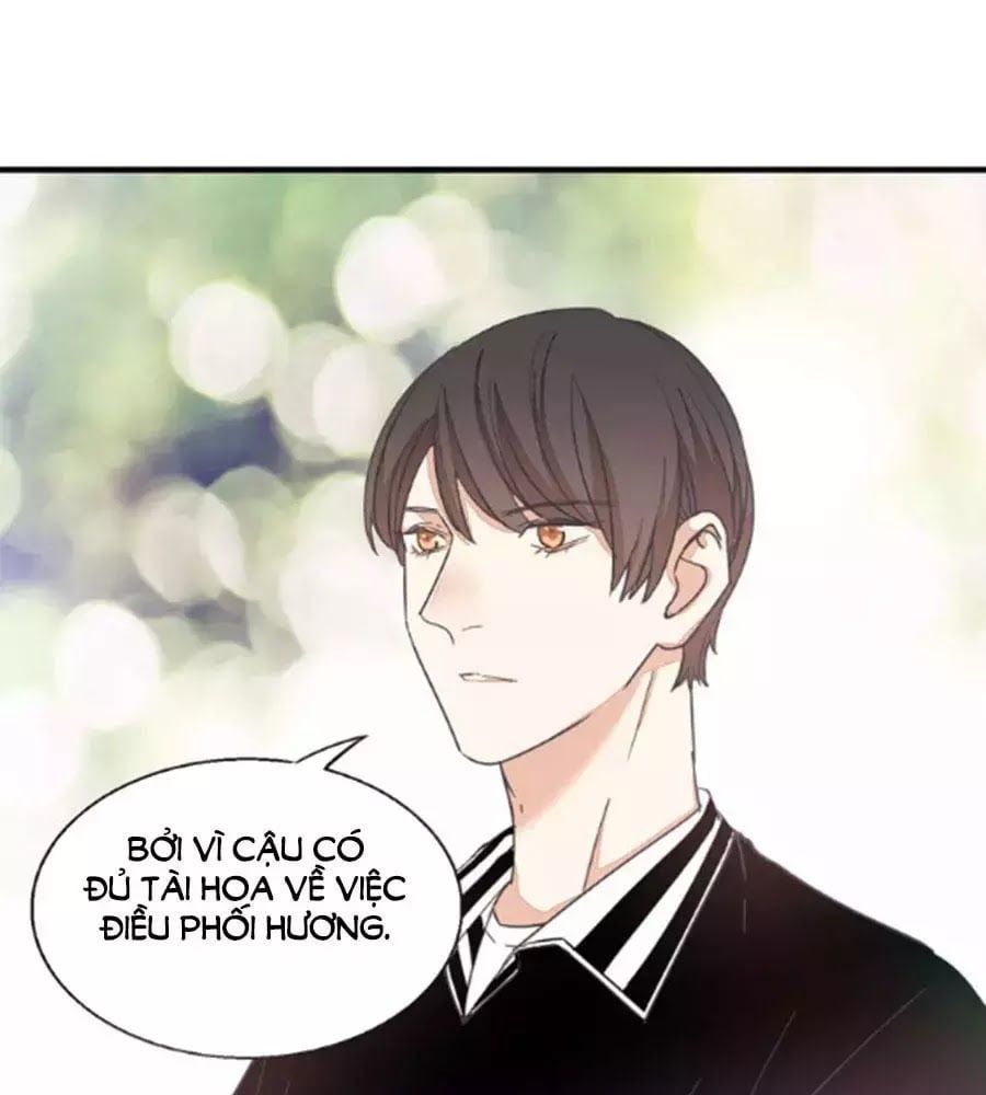 đọc truyện Mùi Hương Lãng Mạn Chương 32 ảnh 41 tại Thiên Thai Truyện