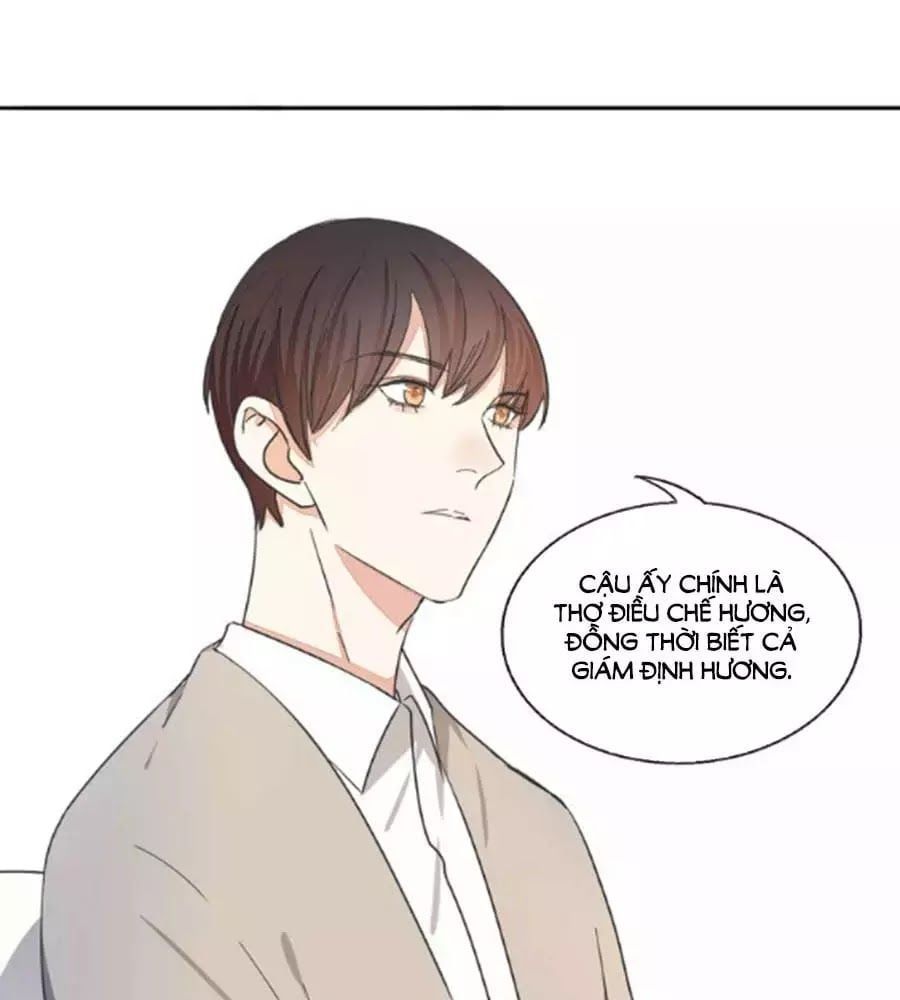 đọc truyện Mùi Hương Lãng Mạn Chương 35 ảnh 31 tại Thiên Thai Truyện