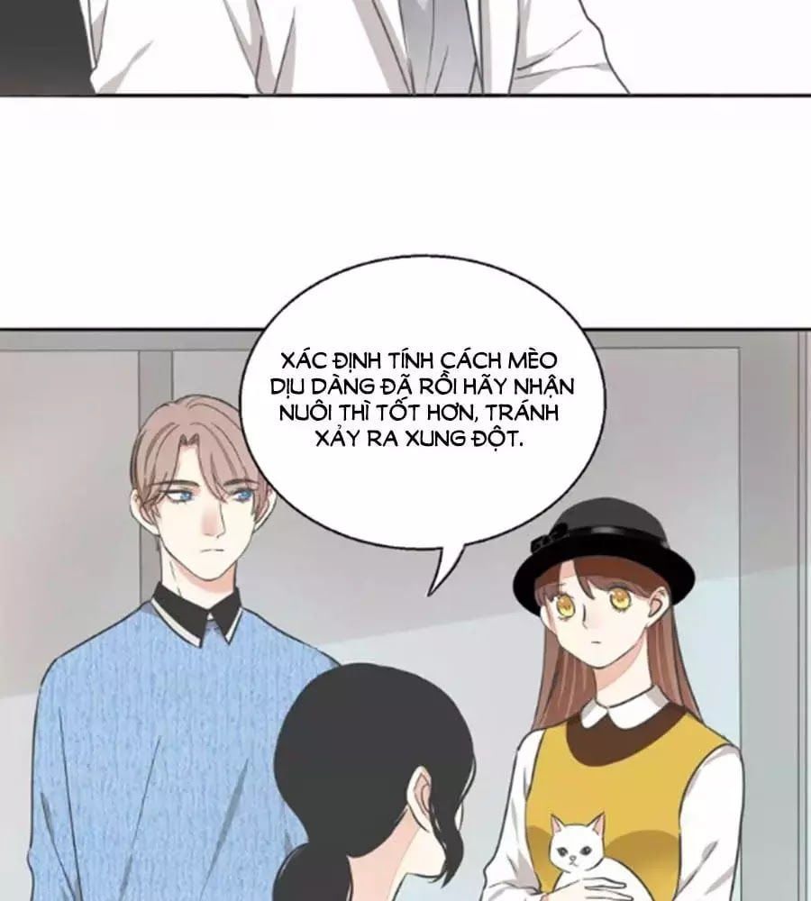 đọc truyện Mùi Hương Lãng Mạn Chương 38 ảnh 13 tại Thiên Thai Truyện